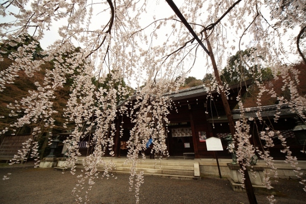 大石神社4 (640x427).jpg