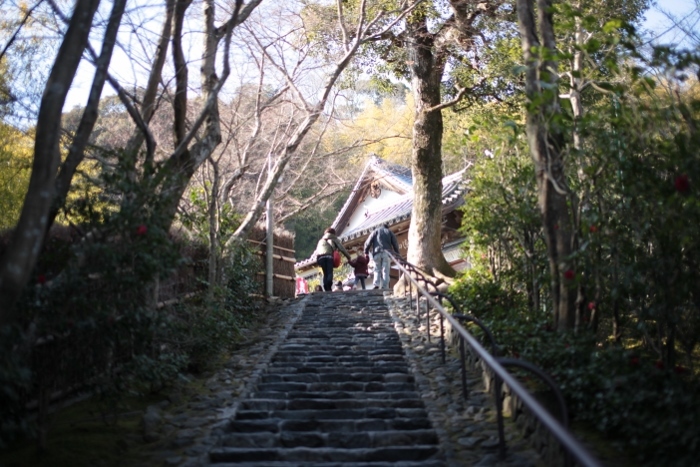 鈴虫寺 (700x467).jpg