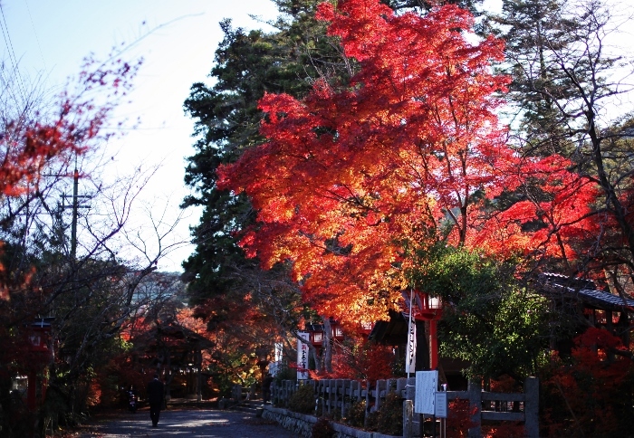 鍬山神社6 (700x484).jpg